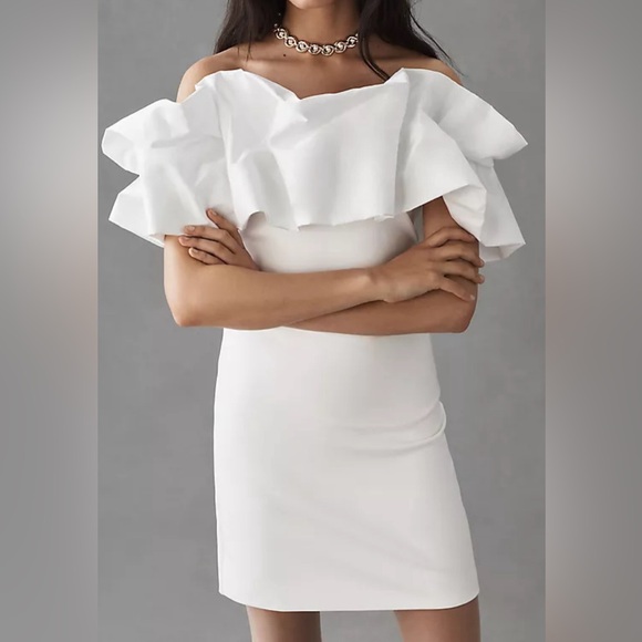 Anthropologie Off-The-Shoulder Structured Ruffle Dress - Picture 3 of 3